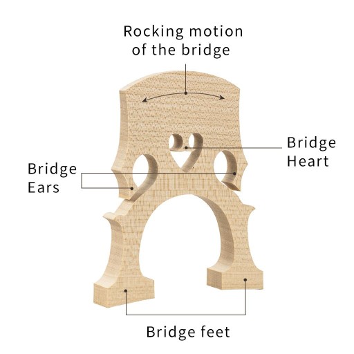 Adjustable Maple Cello Bridge Spare Part for 1/2 Size Cello Instruments 1:2