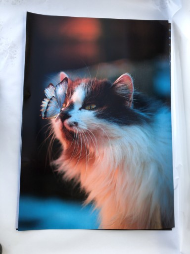 PLAKAT PLAKATY A7 PAPIER 350g WIZYTÓWKOWY 10 SZTUK