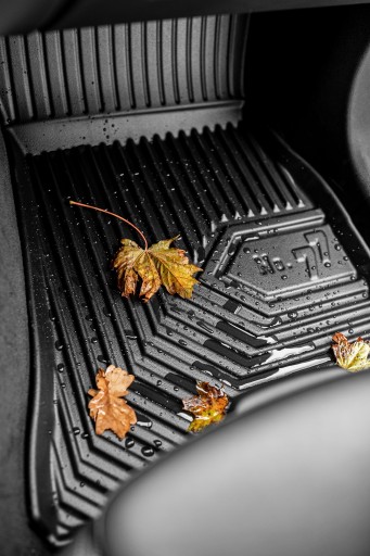 RENAULT CLIO 2 1998-2005 РЕЗИНОВЫЕ КОВРИКИ 7