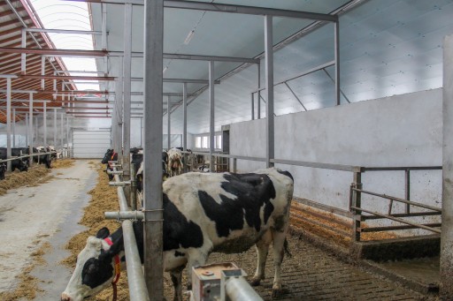 Синие изоляционные панели STYRODUR XPS AGRO 80 мм
