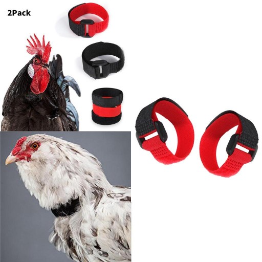 Комплект из 2 полосок Singing No Crowing, красный