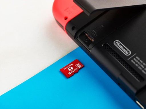 Do Nintendo Switch- SDSQXAO-256G-GN6Z2
