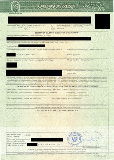 2x БЕЛЫЙ ШАЛФЕЙ + ПАЛО САНТО_ОЧИЩАЮЩИЙ НАБОР