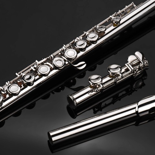 16 Holes Closed Hole Flute C Key Flutes