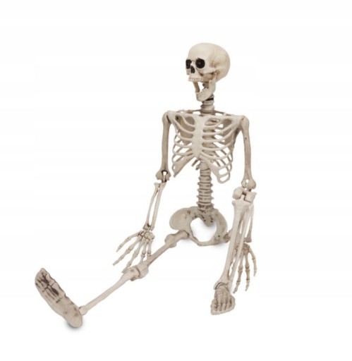УКРАШЕНИЕ ПОДВЕСНОЕ СКЕЛЕТ DEAD BONE 90СМ