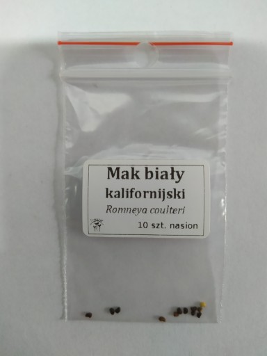 Семена мака калифорнийского белого - кустарник, огромный до 1,5 м, крупные цветы