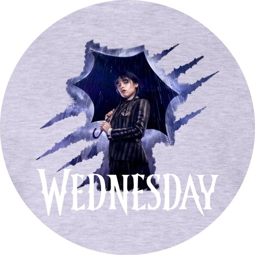 СЕРЫЙ СВИТШОТ WEDNESDAY UMBRELLA ADDAMS 152/158