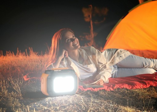 Powerbank накопитель энергии A501 150 мАч 230 В USB