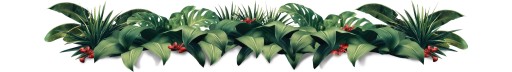 КОФЕ В ЗЕРНАХ ЭФИОПИЯ Йиргачеффе Свежеобжаренный - 100% АРАБИКА - СИНЯЯ КАСАТКА