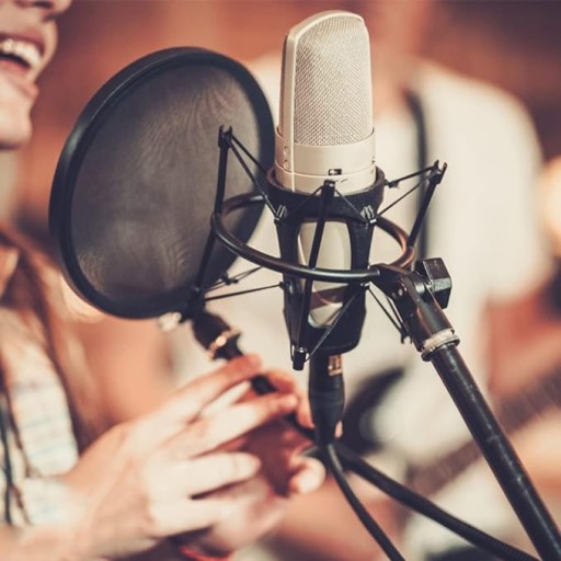 Pop Filter Крышка студийного микрофонного фильтра с поворотным зажимом на 360°