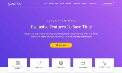 Astra WP theme wtyczka WordPress WooCommerce