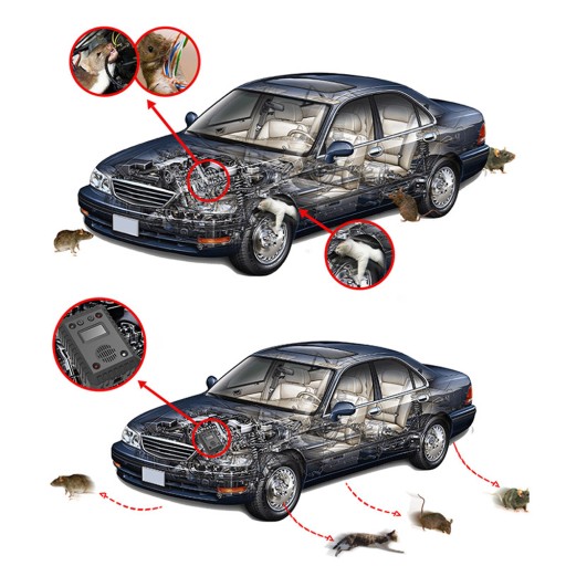 ОТПУСКАТЕЛЬ КУРИЦЫ ДЛЯ АВТОМОБИЛЯ ГРЫЗУНОВ