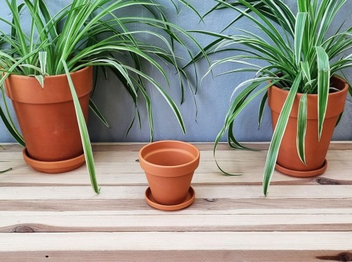 Цветочный горшок CLAY TERRACOTT 10 см + подставка