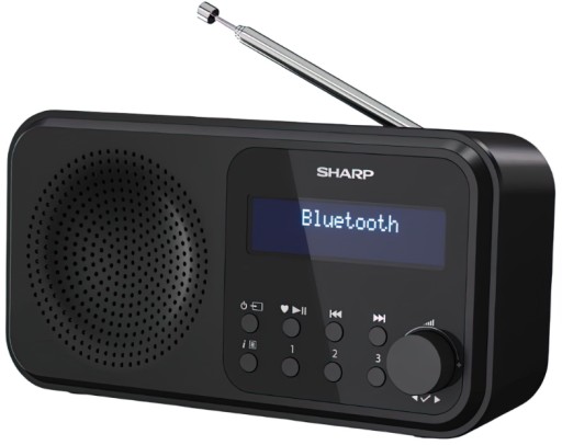 DAB+, сетевое FM-радио, Sharp DR-P420