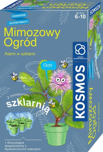 Мимоза Сад