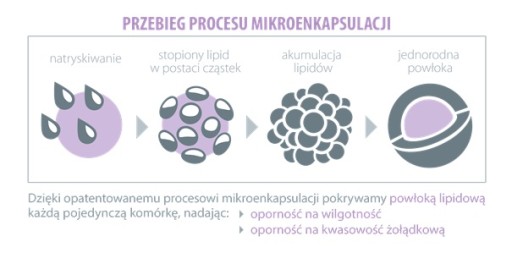 ПРОБИОТИКИ ДЛЯ ДЕТЕЙ ProbioBALANCE Пробиотик KIDS Balance 5 миллиардов злотых