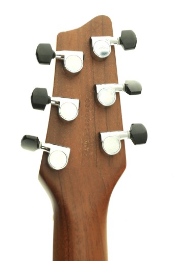 Godin LG Signature — идеальный профессиональный инструмент