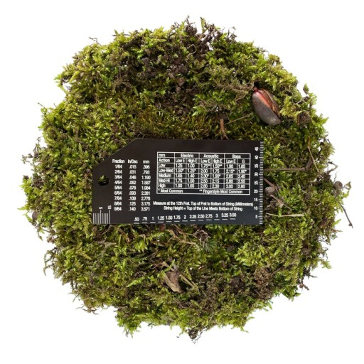 Настройка гитары — набор датчиков Music Nomad Precision Set MN604