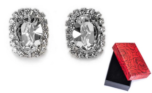 ПРОДОЛЬНЫЕ СЕРЕБРЯНЫЕ КРЕПЛЕНИЯ ДЛЯ УШЕЙ, JABLONEX CRYSTAL
