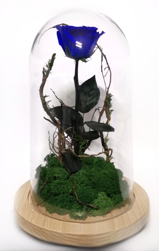 Настоящая вечная роза в стакане XL BLUE Forest