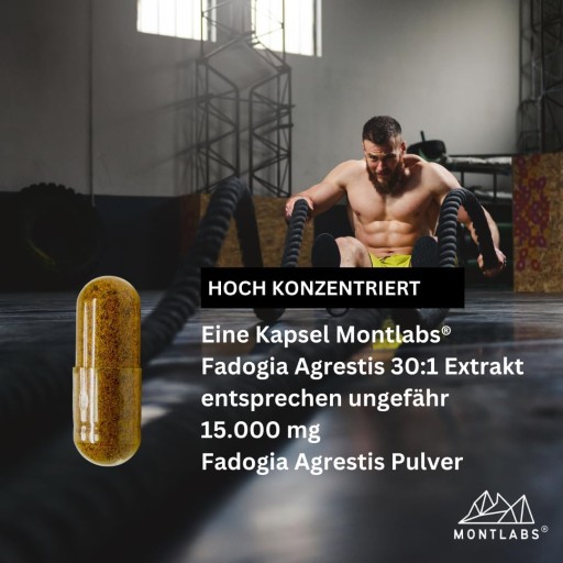Фадогия Агрестис 500 мг 90 капсул 30:1