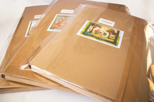 POLSKIE malowanie po numerach ptak ptaki 50x40
