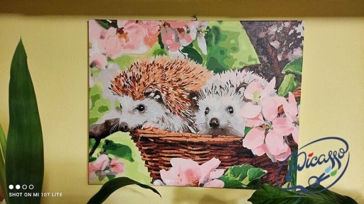 Набор КРАСКА ПО ЦИФРАМ - ИПИКАССО 40x50