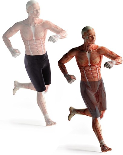 Функциональные брюки ULTRASPORT Kinesio L