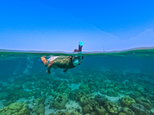 МАСКА ДЛЯ ДАЙВИНГА НЕ ЗАТЕПАЕТ ЛИЦО GoPro С ТРУБКОЙ S/M