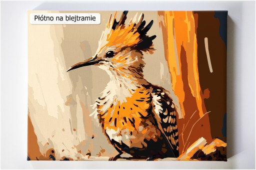 POLSKIE malowanie po numerach ptak ptaki 50x40