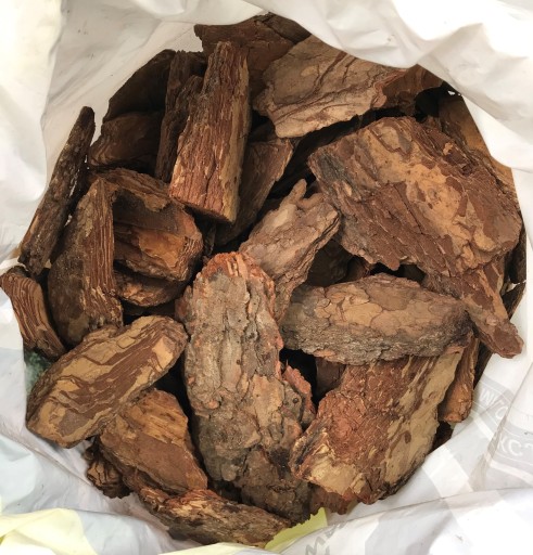 KORA SOSNOWA OZDOBNA Ogrodowa EXTRA Gruba 15szt