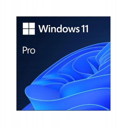 Windows 11 Pro BOX USB PL