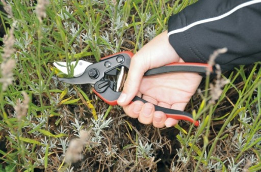 МЕРЫ ПРЕДОСТОРОЖНОСТИ САДОВЫЕ НОЖНИЦЫ РАЗМЕР S 20см FELCO 160S