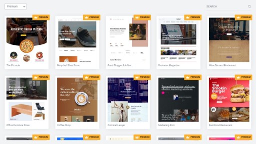 WP Rocket. Elementor PRO. Yoast SEO. Astra Sites