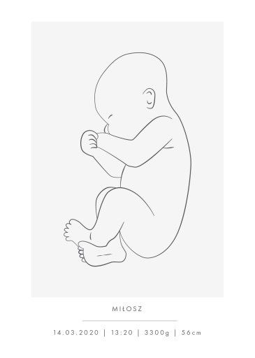 Plakat Prezent Metryczka Noworodka Szara 50x70