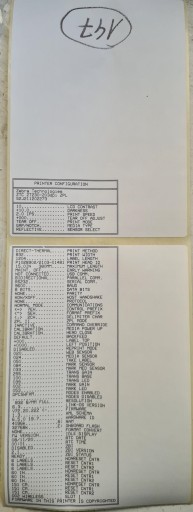 Принтер этикеток ZEBRA ZT230, 203 точки на дюйм, USB RS232, WIFI