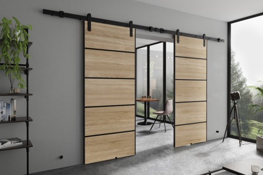 Настенная раздвижная дверь AURA DUO PLUS 172