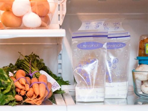 Пакеты для хранения продуктов Lansinoh 25 шт.