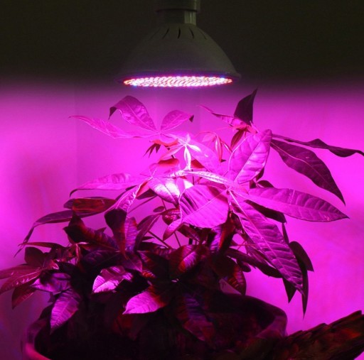 200LED ЛАМПА для выращивания РАСТЕНИЙ, лампочка 20Вт