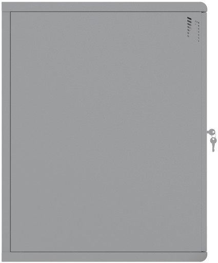 Stalflex Szafa Serwerowa Wisząca RACK 19