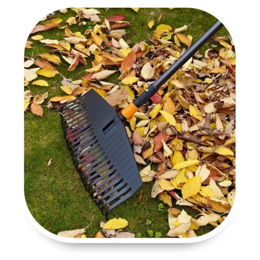 Маленькие садовые грабли для травы Fiskars 22 см