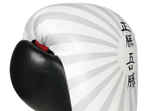 ТРЕНИРОВОЧНЫЕ СПАРИНГОВЫЕ БОКСЕРСКИЕ ПЕРЧАТКИ ИЗ НАТУРАЛЬНОЙ КОЖИ DBX BUSHIDO, 10 унций