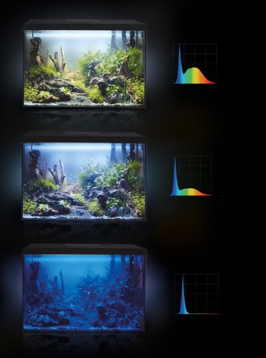 Аквариум «Профиль» / «Овал» 72 л, 60x30x40 + крышка Aquael LED «День/Ночь», комплект
