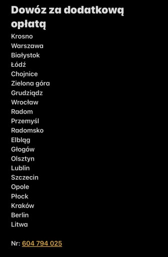 Falownik Przetwornica Leaf ZE0 EM57 292C04FA3C org