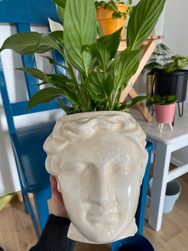 Osłonka GŁOWA doniczka ceramiczna kremowa! 127414