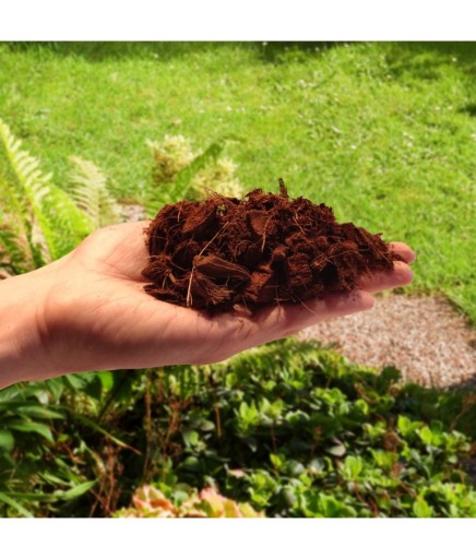 Чипсы чипсы COCONUT COCO 10л щепа BIOVITA