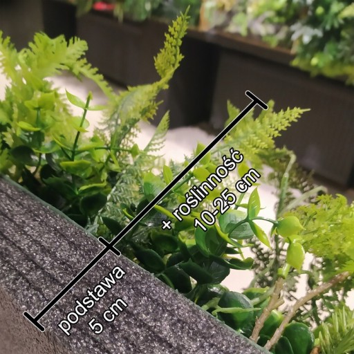 Ogród wertykalny Panel na wymiar HANGING GARDENS