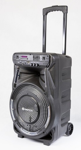 Мощность аудио MANTA SPK5033