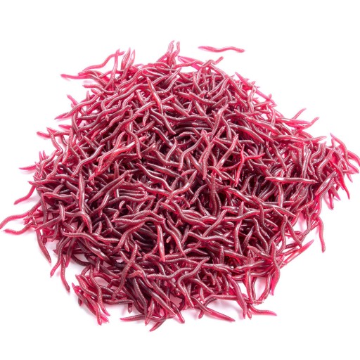 Искусственные черви RED EARTHWORTH Dendrobena DUNGEON 3,5см 100х