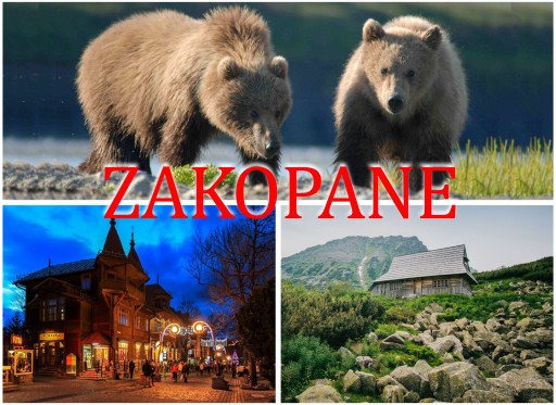 Magnes na lodówkę pamiątka z Zakopanego magnesy Zakopane regionalne Z5